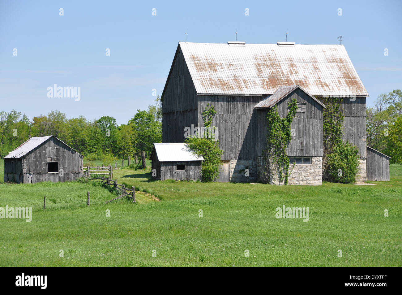 Grange en bois et versé sur une ferme de rudal l'Ontario, Canada. Banque D'Images