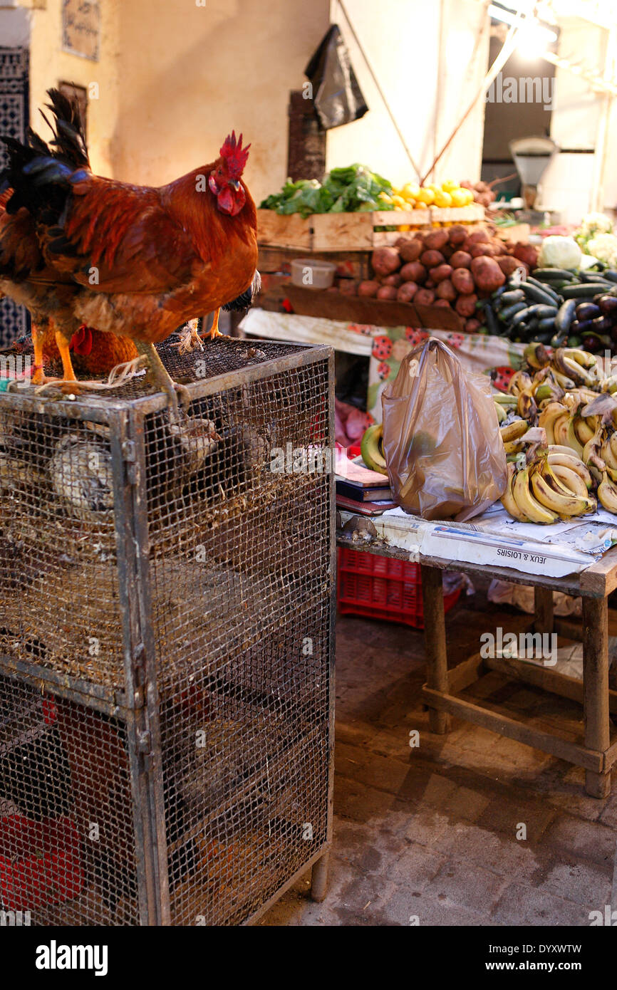 Grand marché de Fes, Maroc Banque D'Images