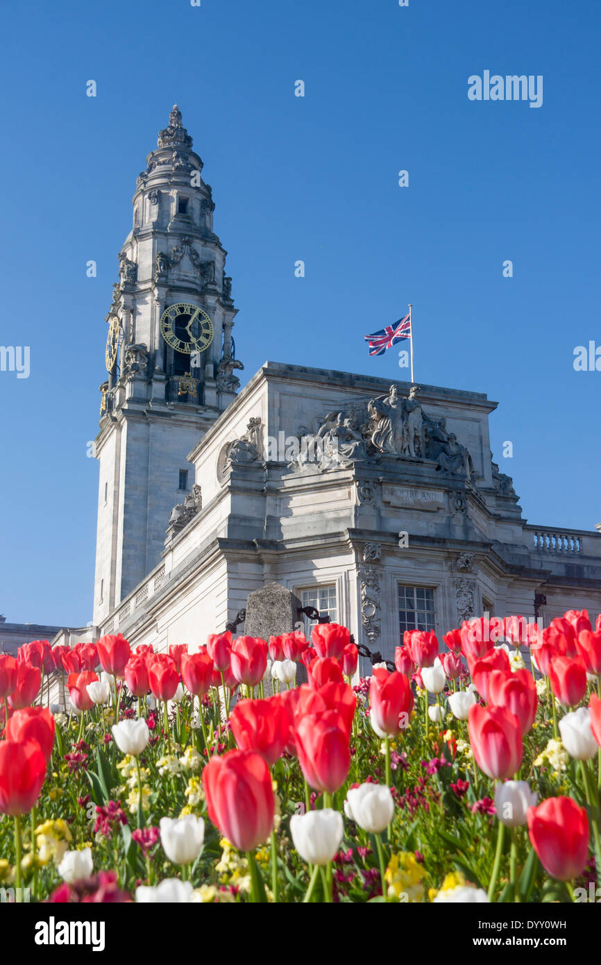 L'Hôtel de ville de Cardiff avec des tulipes en premier plan au printemps Cardiff South Wales UK Banque D'Images