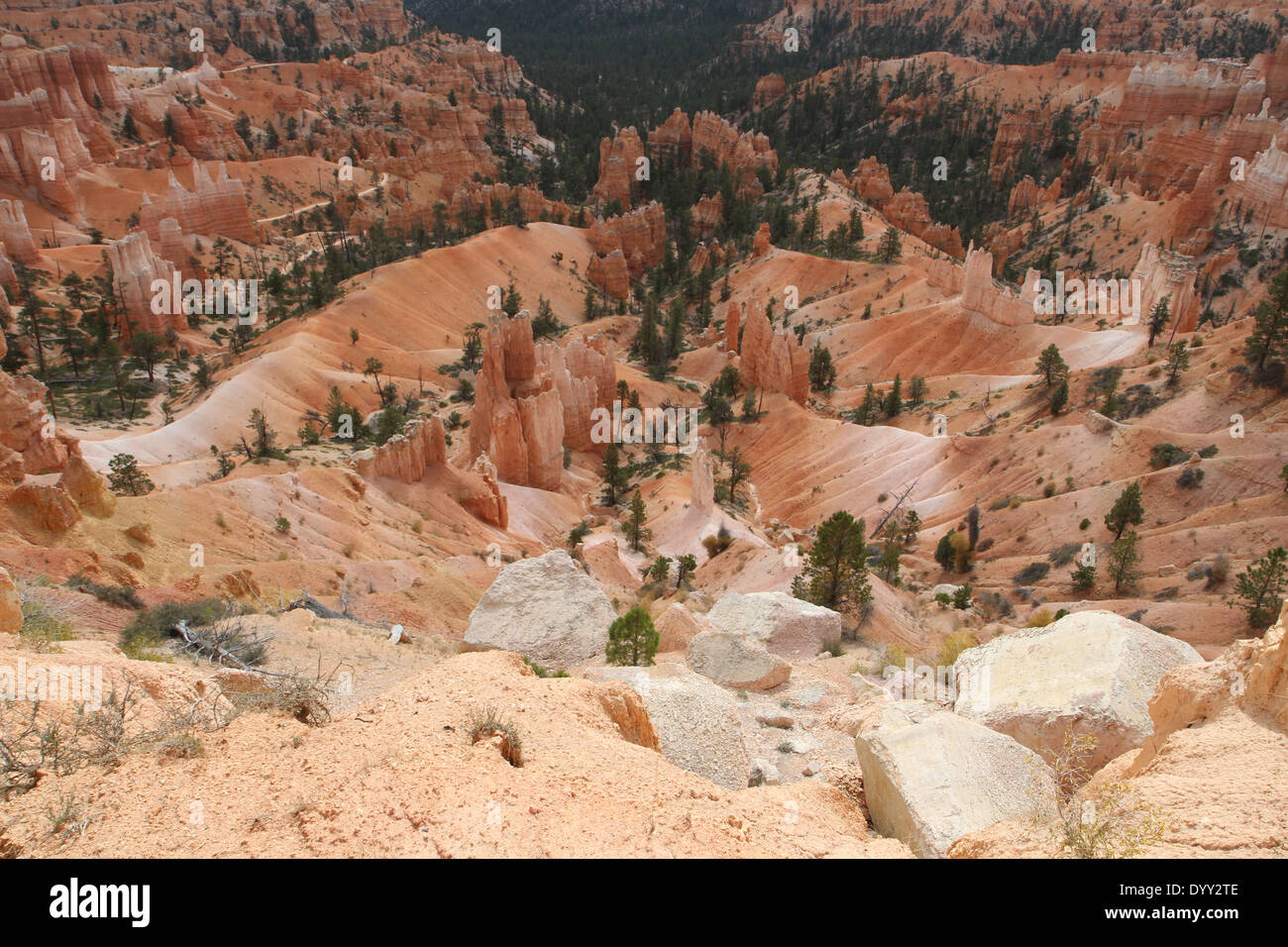La beauté de Bryce Canyon Banque D'Images