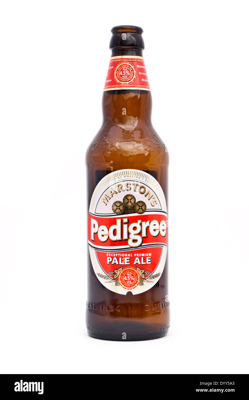 Bouteille de Marston's Pedigree Pale Ale, introduit en 1952 et Marston's marque vedette, la vente de 150 000 hectolitres en 2010. Banque D'Images