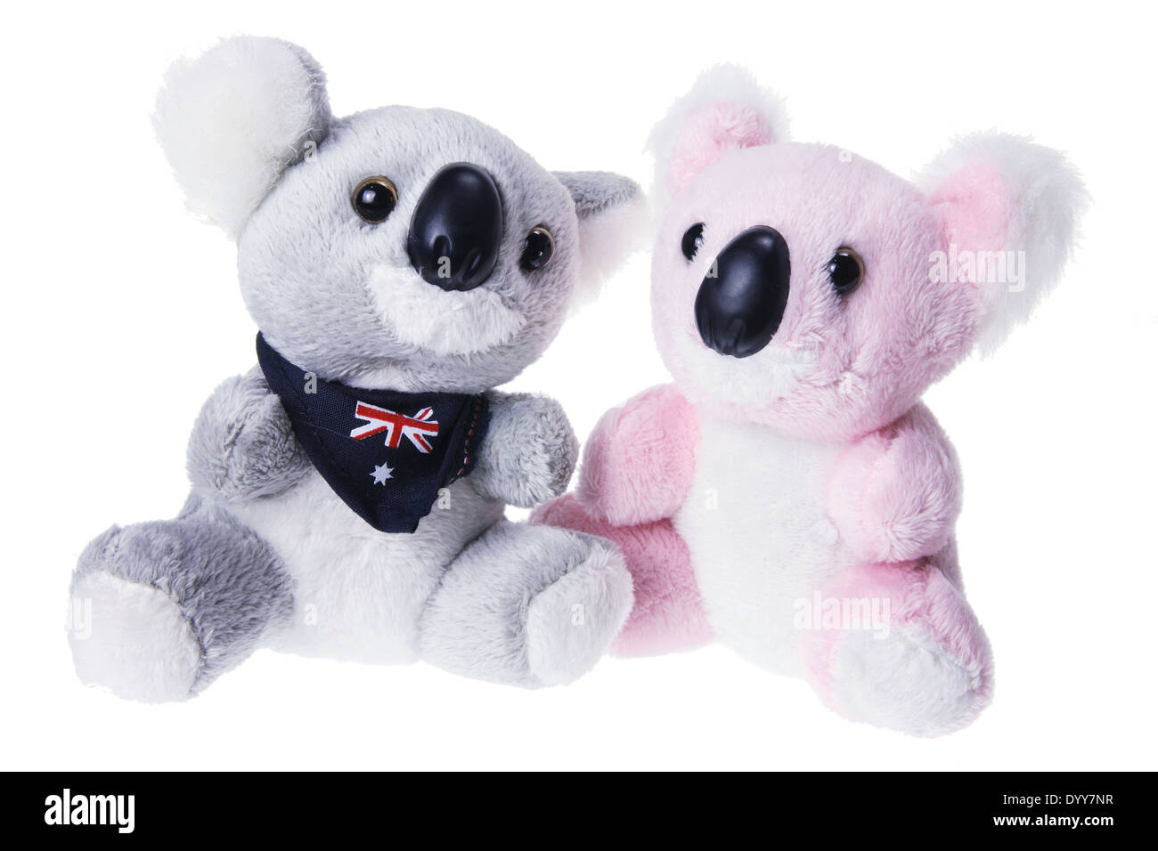 Peluche Koalas Banque D'Images