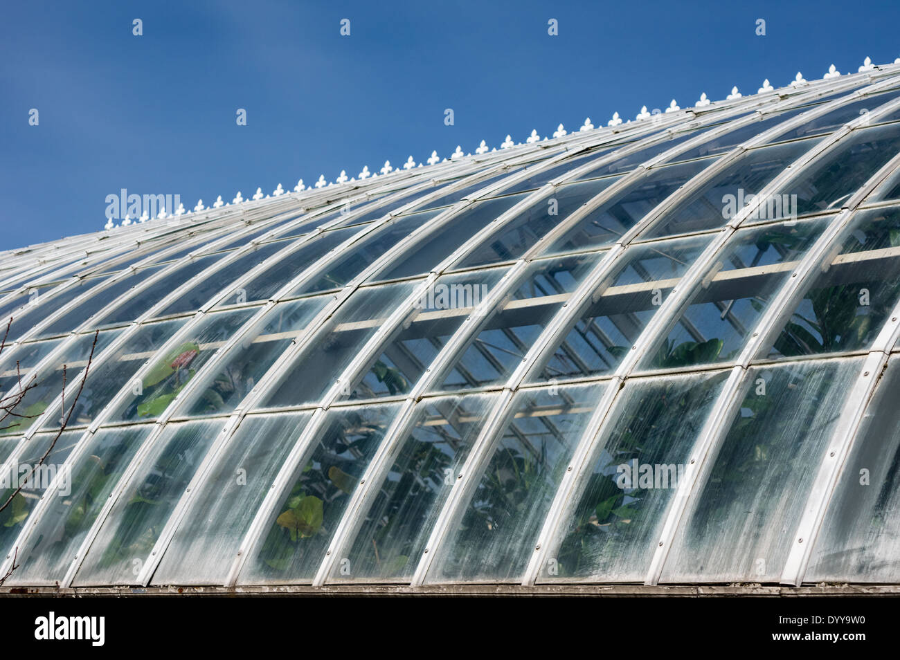 Serre verre courbe montrant des panneaux de verre et de plantes à Phipps Conservatory. Pittsburgh, Pennsylvanie Banque D'Images