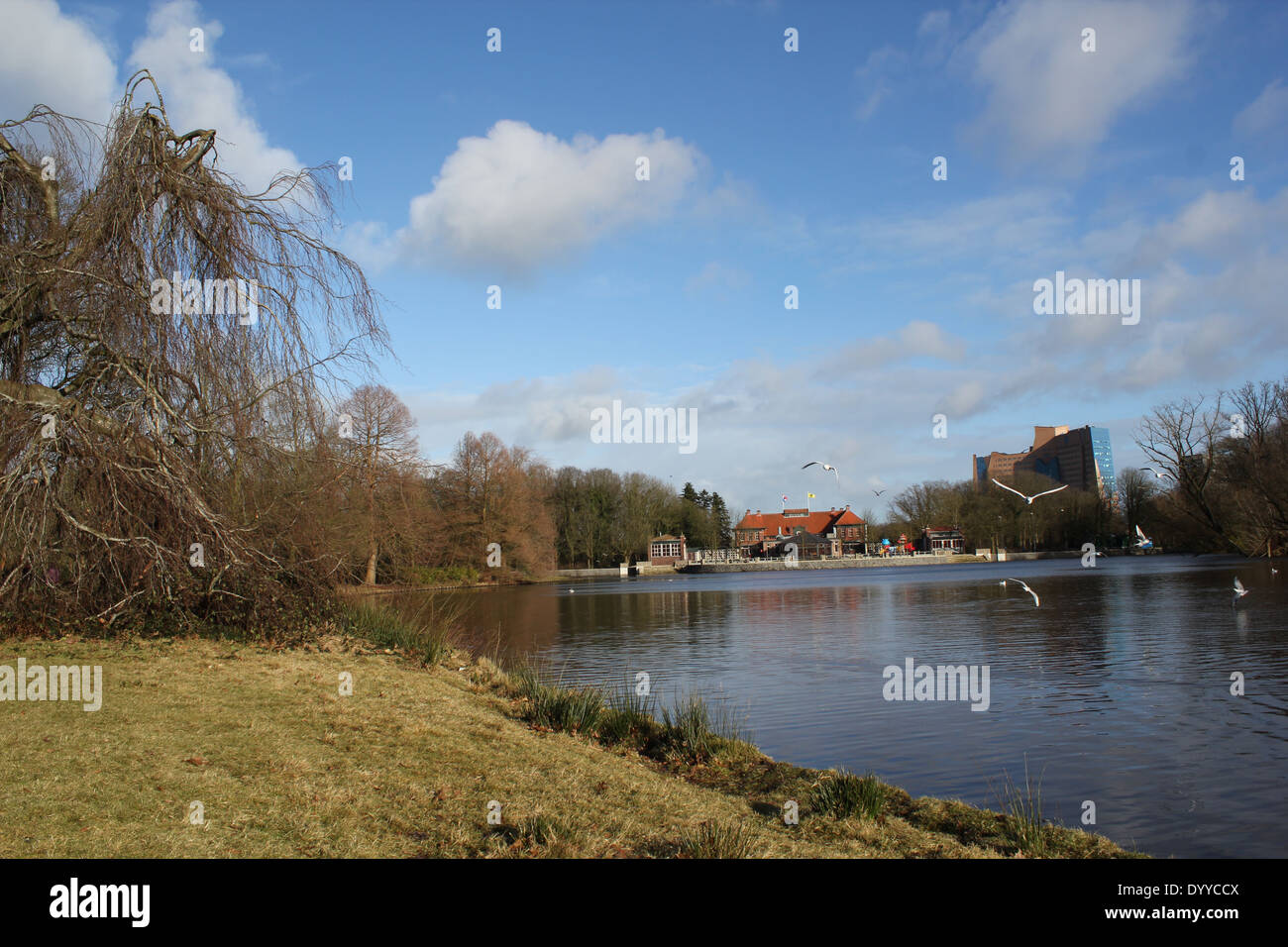 Stadspark ou Parc de la ville de la ville de Groningen (Pays-Bas) en hiver, le lac au premier plan Banque D'Images