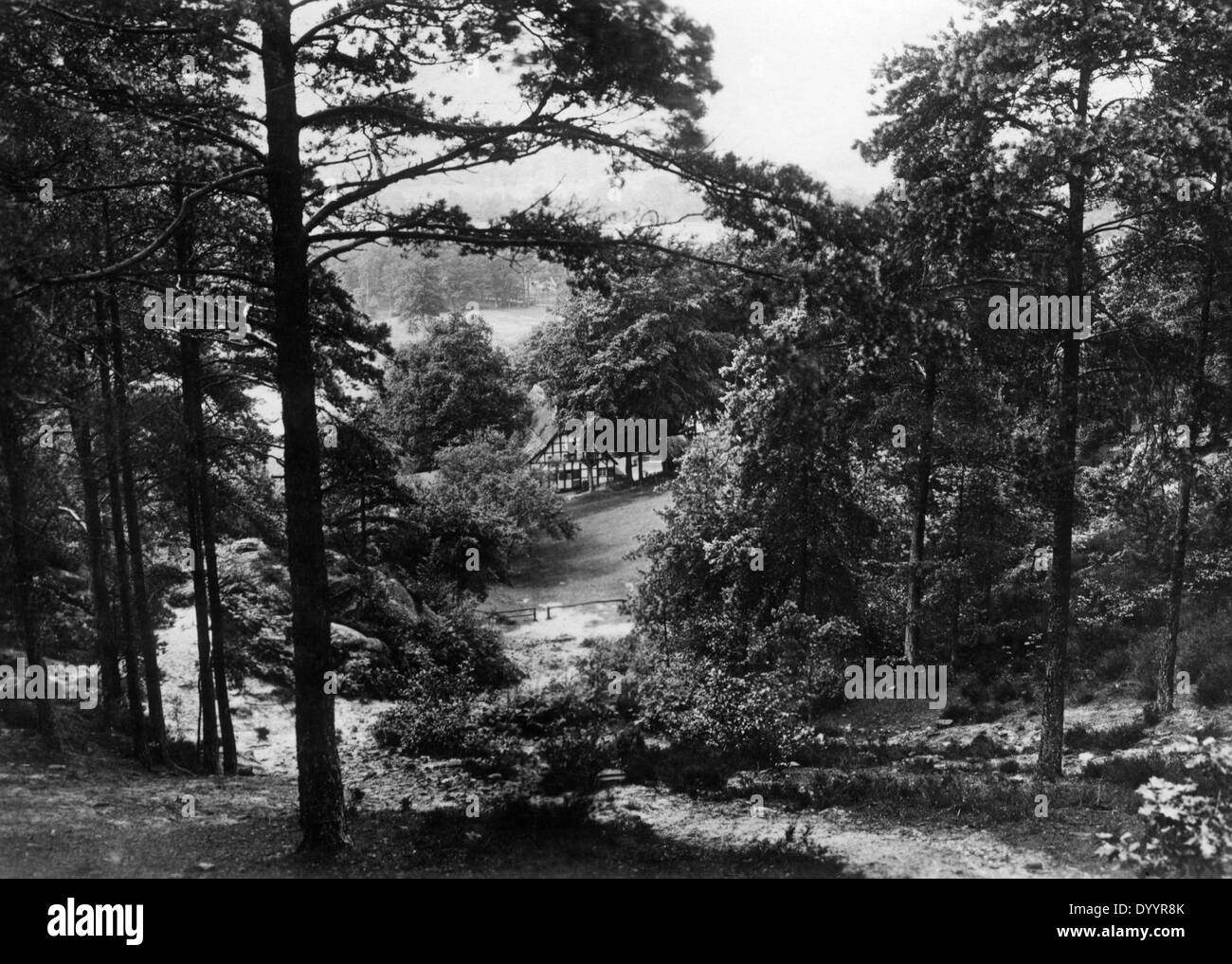La forêt de Teutoburg, 1934 Banque D'Images