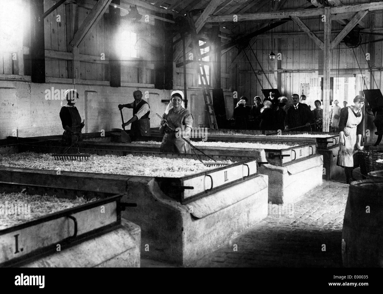 La transformation des légumes à Mannheim, 1917 Banque D'Images