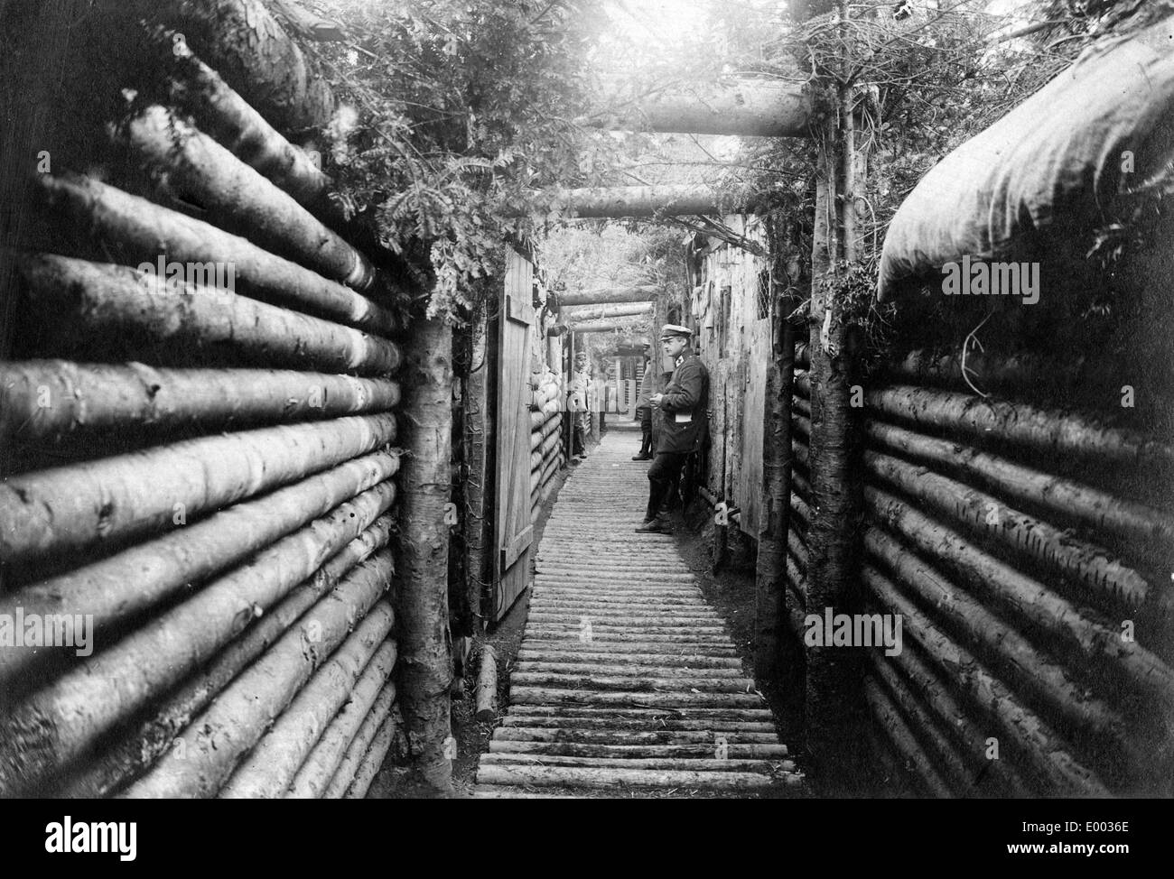 Tranchée allemande dans les Vosges les forêts, 1915 Banque D'Images