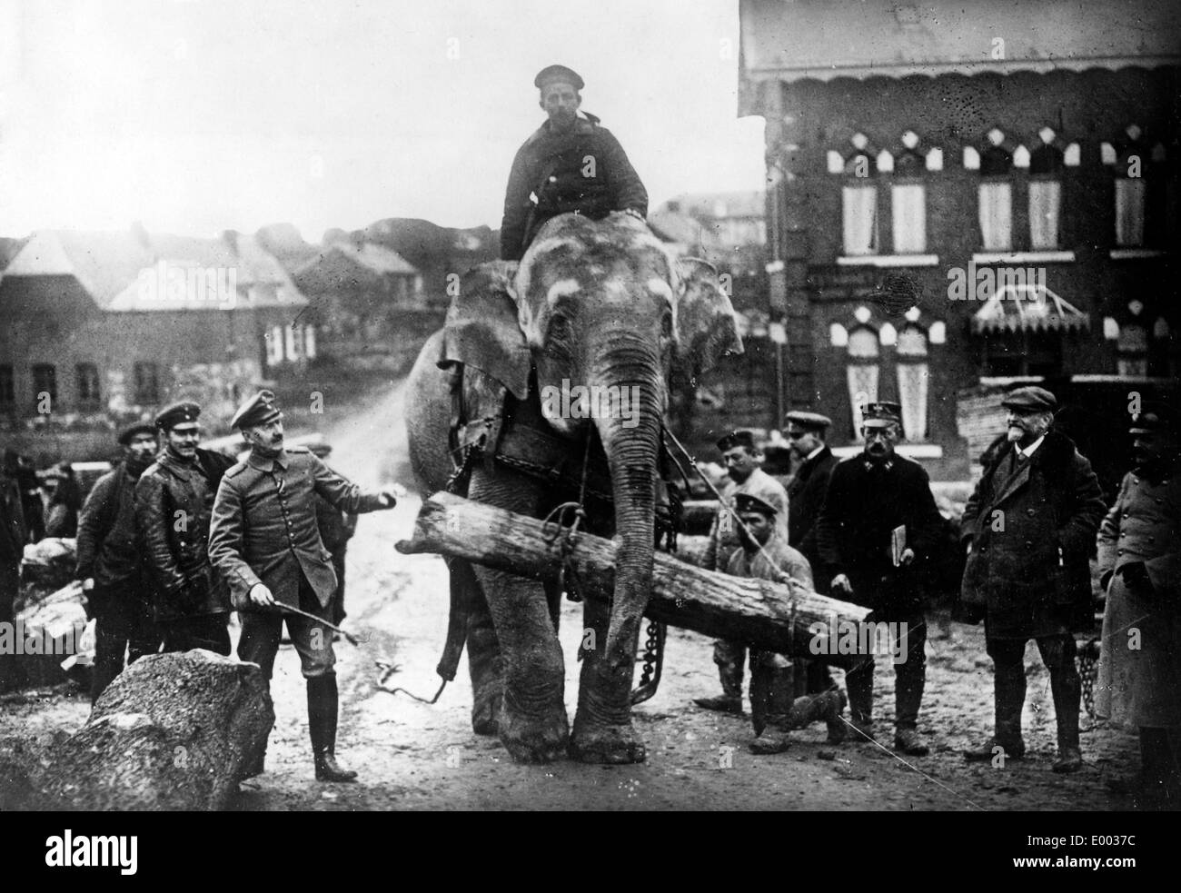 L'éléphant indien au Western Front, 1915 Banque D'Images