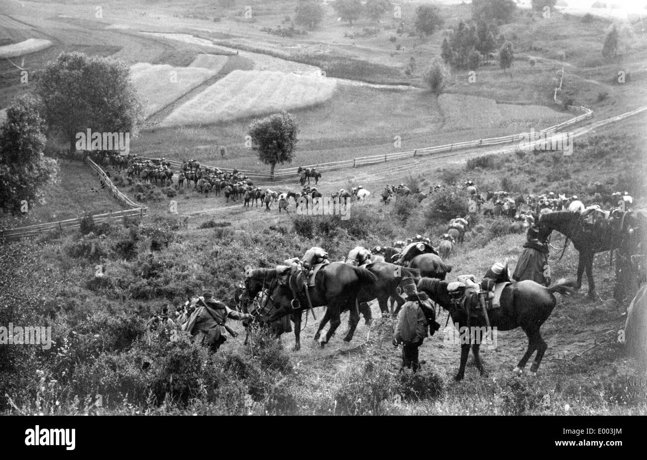 La cavalerie austro-hongrois en Galice, 1915 Banque D'Images