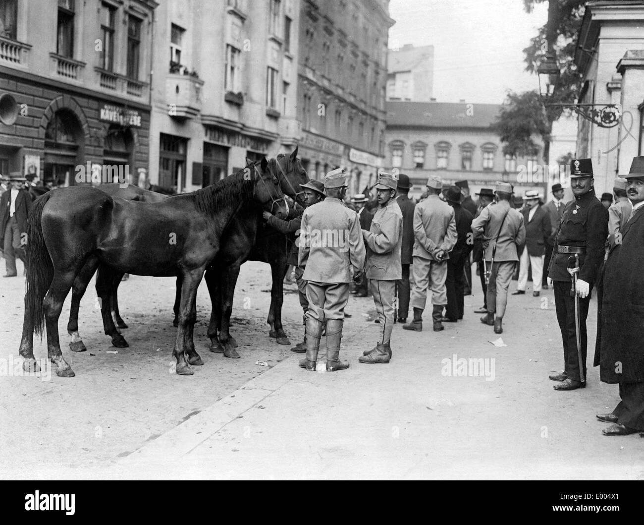 La réquisition de chevaux pour le service militaire, 1914 Banque D'Images