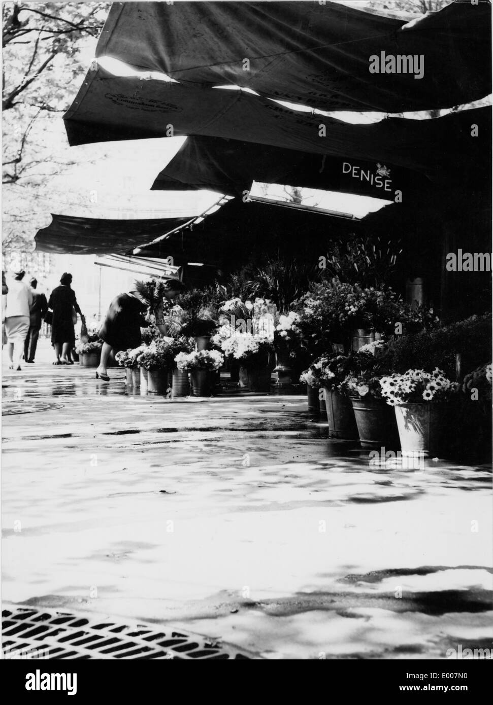 Un marché aux fleurs à Paris, 1959 Banque D'Images