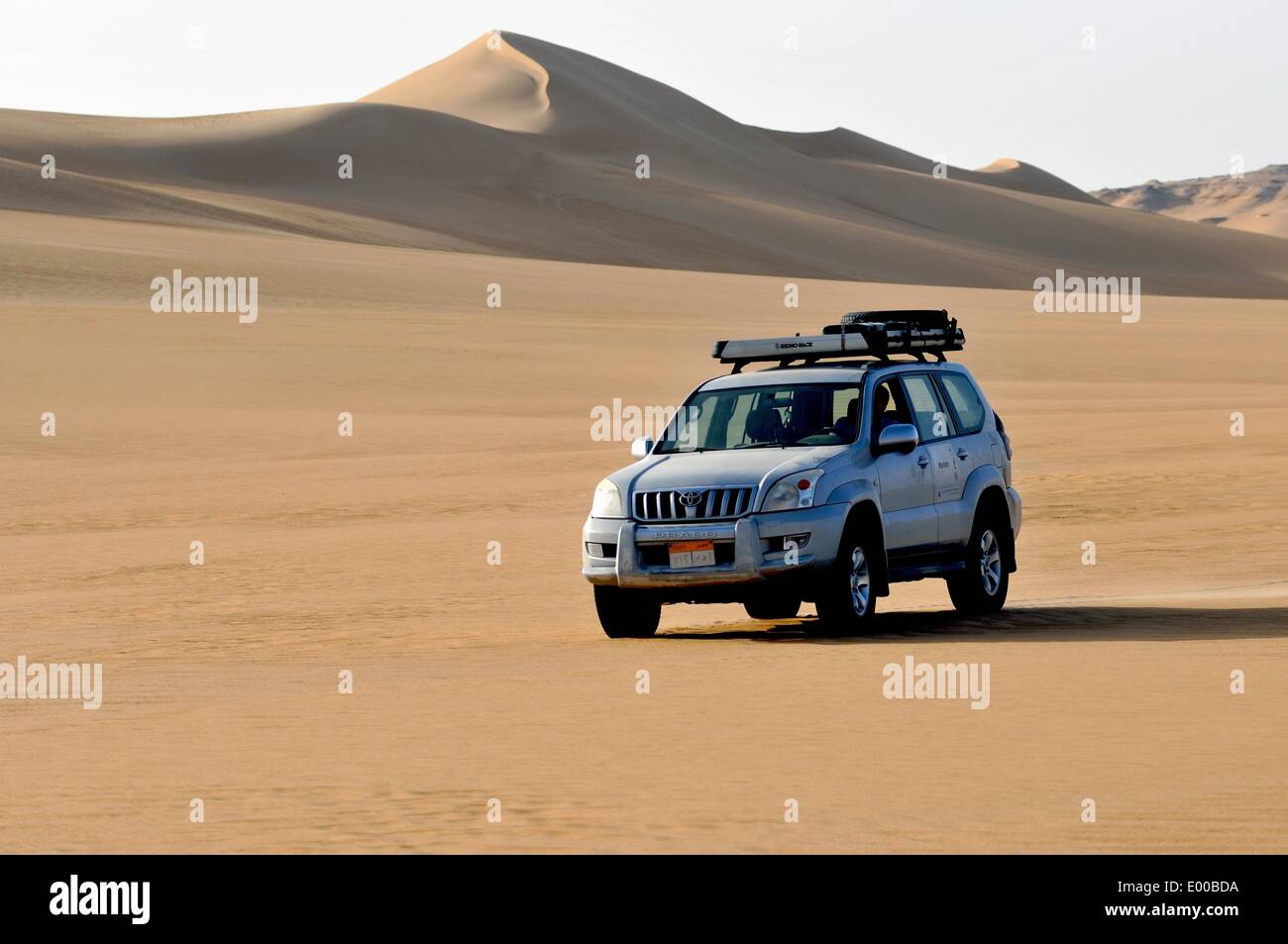 Une Toyota Prado véhicule tout terrain de l'Kamal El Dine Expedition fait son chemin à travers l'erg, l'Égypte, 24 mars 2014. Une société privée sous le parrainage du ministère du Tourisme a organisé le 'Kamal El-Dine expédition memorial' qui a eu lieu entre le 14 et 16 mars 2014. Les objectifs de l'expédition étaient de promouvoir le tourisme écologique et d'commeorate desert Prince Kamal El Dine Hussein, qui a découvert et exploré le Gilf Kebir plateau dans les années 1920. Kamal El Dine admissibles a été le seul héritier du trône de l'histoire de l'Égypte à renoncer à ses droits au trône de son propre Banque D'Images