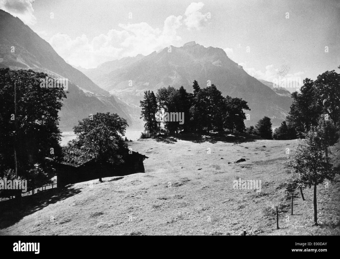 Le Ruetli meadow en Suisse Banque D'Images