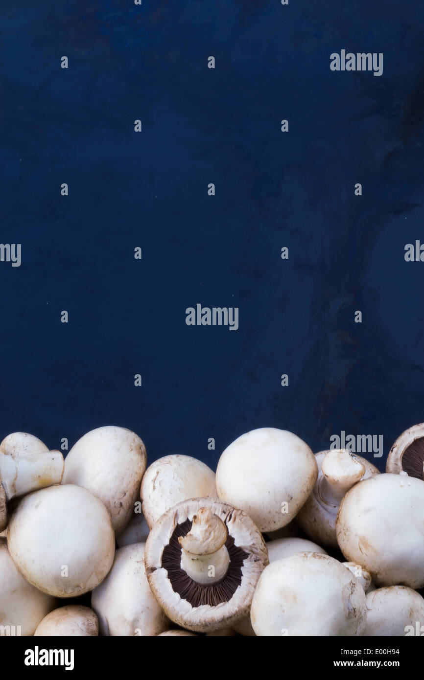 Un tas de champignons au bas de l'image sur un fond bleu métallique. Banque D'Images