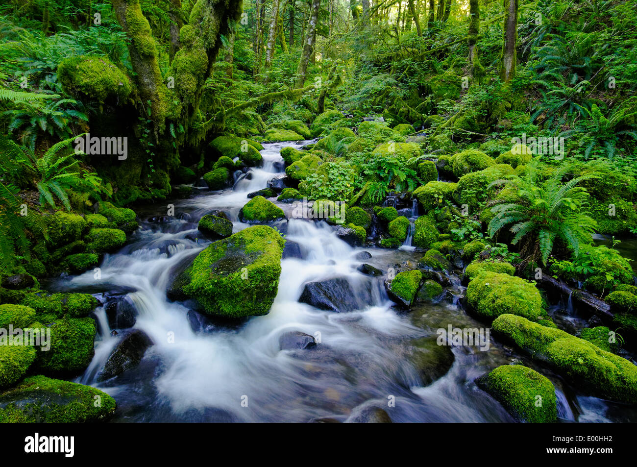 Ruckel Creek Banque D'Images