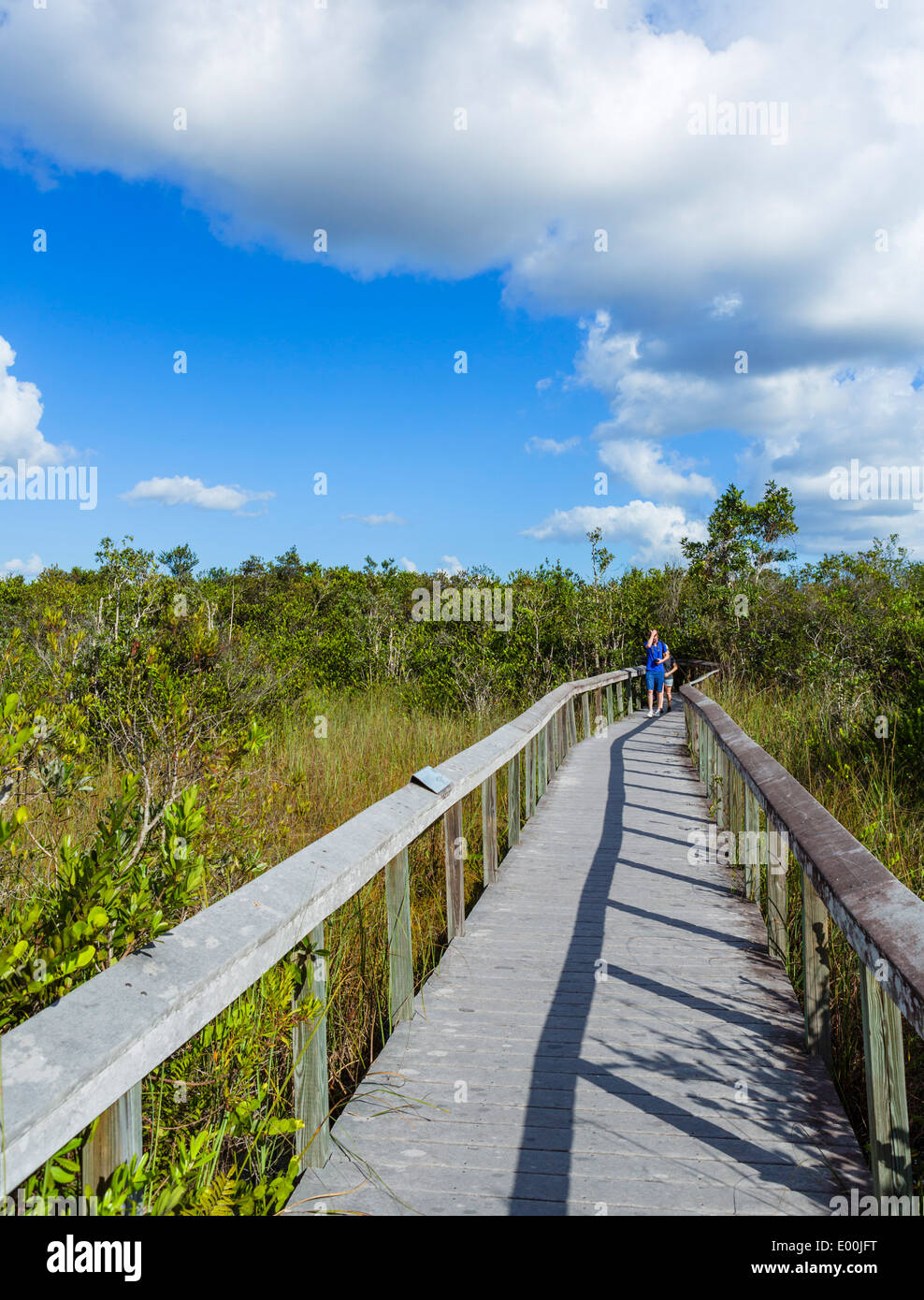 Couple sur le Boardwalk Bobcat près de la Shark Valley Visitor Centre, Parc National des Everglades, Florida, USA Banque D'Images Couple sur le Boardwalk Bobcat près de la Shark Valley Visitor Centre, Parc National des Everglades, Florida, USA Banque D'Images