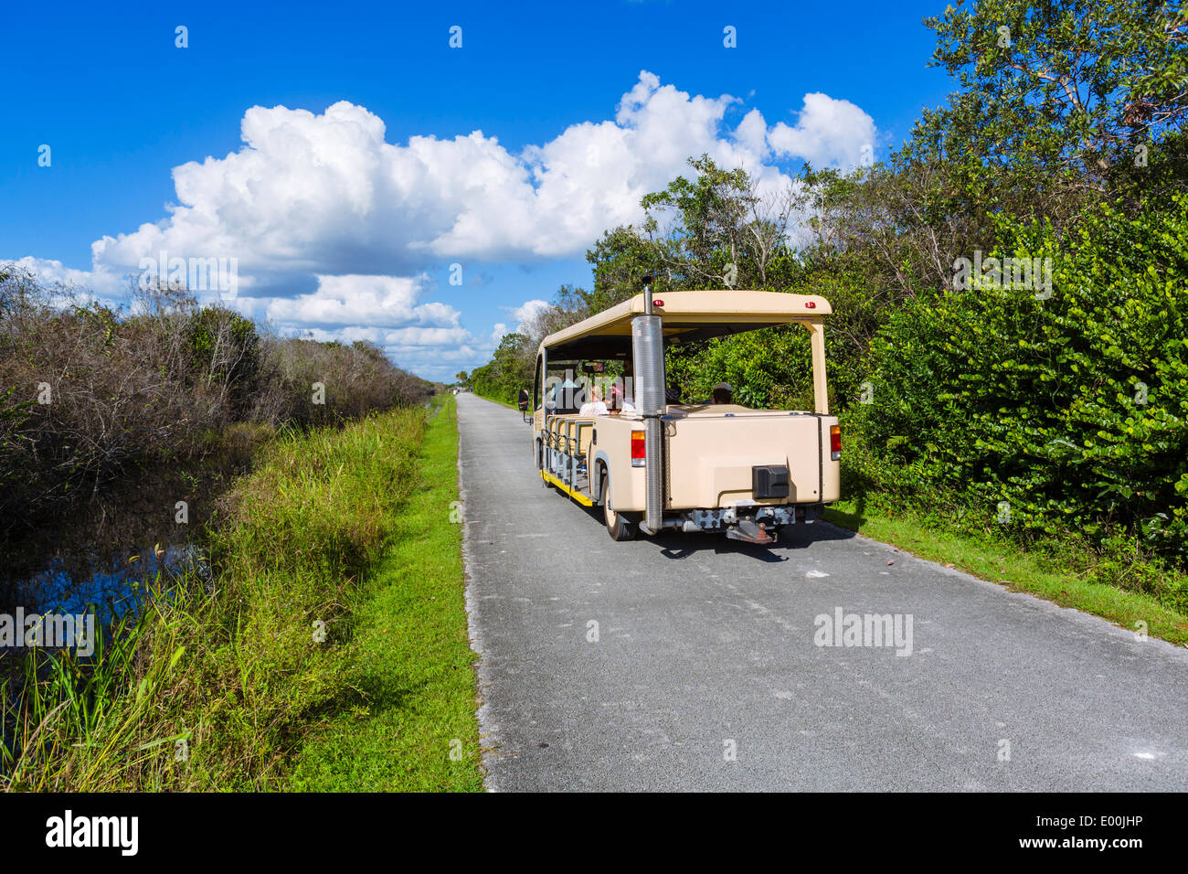 Tour de Tramway sur la Shark Valley loop road, le Parc National des Everglades, Florida, USA Banque D'Images Tour de Tramway sur la Shark Valley loop road, le Parc National des Everglades, Florida, USA Banque D'Images