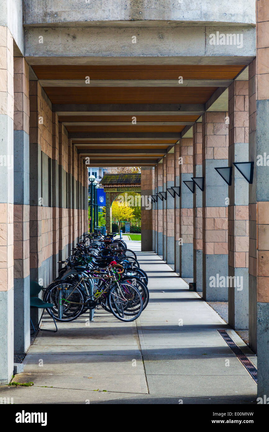 Fonction de stockage des vélos à l'établissement d'enseignement forestier à l'UBC, à Vancouver, Canada Banque D'Images