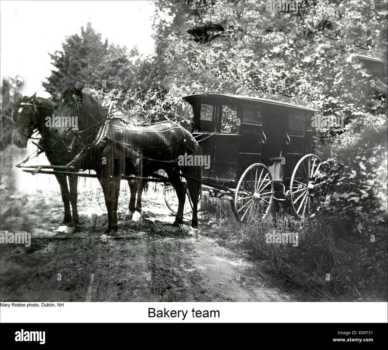 Cette image montre une équipe de chevaux et de calèches utilisée pour livrer des produits de boulangerie à Dublin, New Hampshire. La photographie vintage met en évidence le mode de transport traditionnel utilisé par les entreprises locales au début du XXe siècle. Banque D'Images
