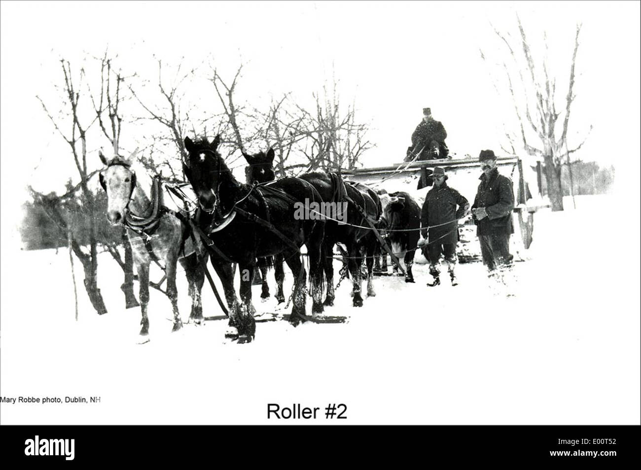 Un rouleau à neige et une équipe de chevaux sont représentés dans cette scène historique de Dublin, New Hampshire, où ils ont été utilisés pour le compactage de la neige pendant les mois d'hiver. Cette image met en évidence les premières méthodes de déneigement. Banque D'Images