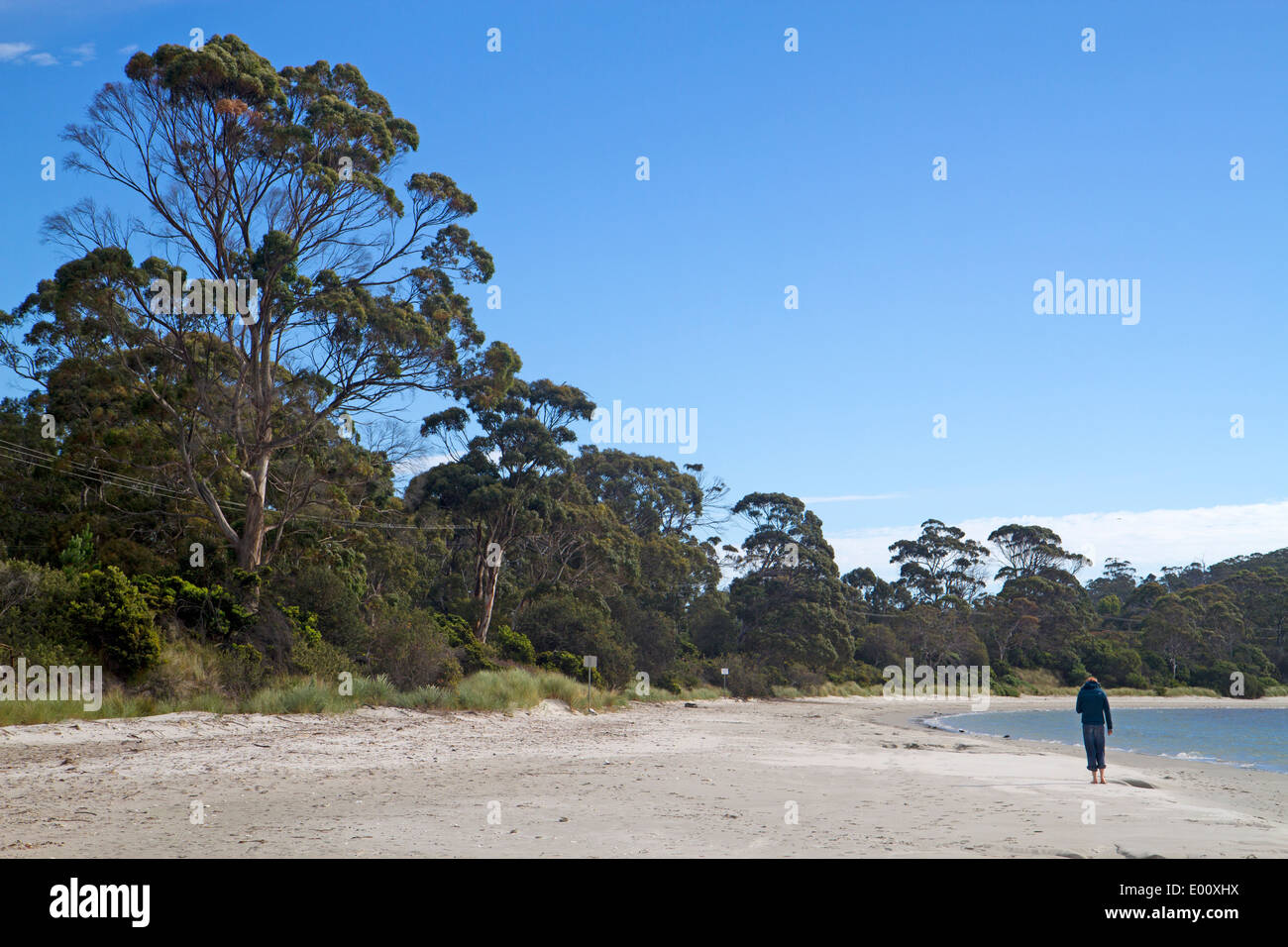 Plage de sable blanc, sur la péninsule de Tasman Tasmanie Banque D'Images
