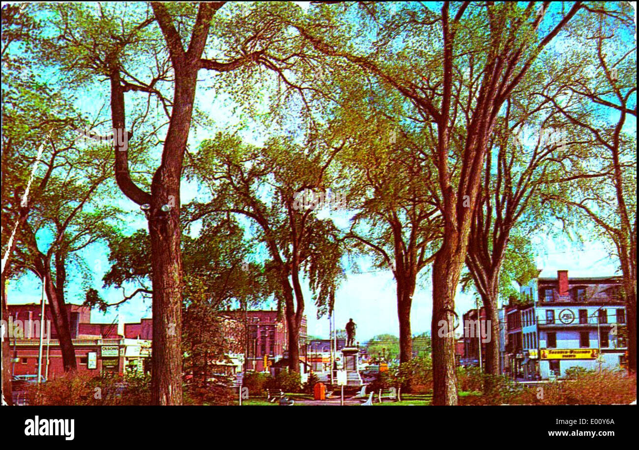 Cette photographie historique capture Central Square à Keene, dans le New Hampshire, en regardant vers le sud. L'image met en valeur le quartier des affaires et le centre-ville, encadrés par des ormes et l'architecture classique de la Nouvelle-Angleterre. Banque D'Images