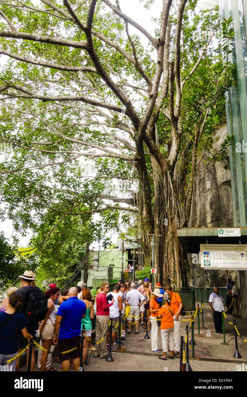 Rio de Janeiro, Parque Nacional da Tijuca, Cristo Redentor, Corcovado, Brésil Banque D'Images