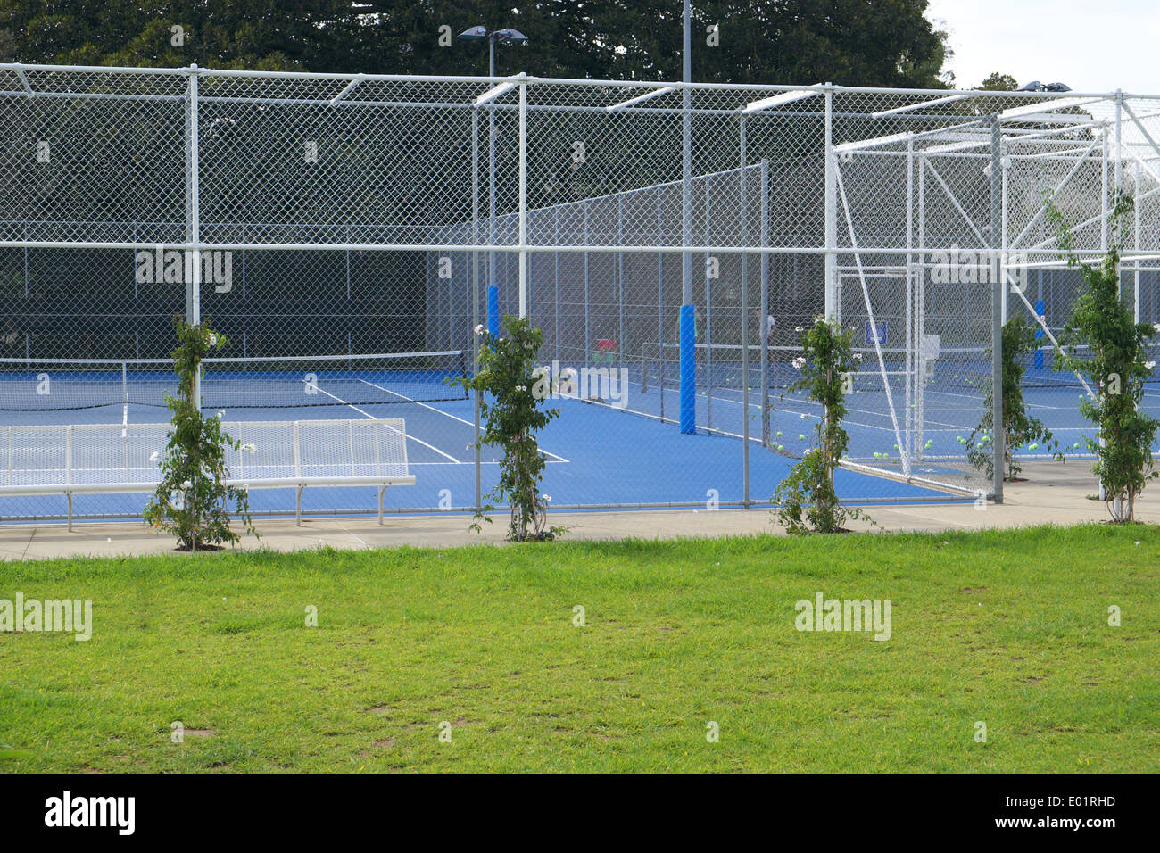 Le prince Alfred Park, est un parc à Surry Hills et contient le premier sydney piscine extérieure chauffée accessible Banque D'Images