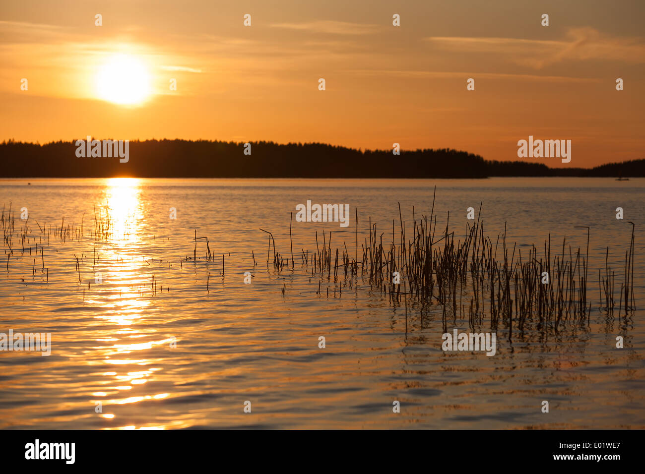 Coucher du soleil orange sur le lac Saimaa en Finlande Banque D'Images