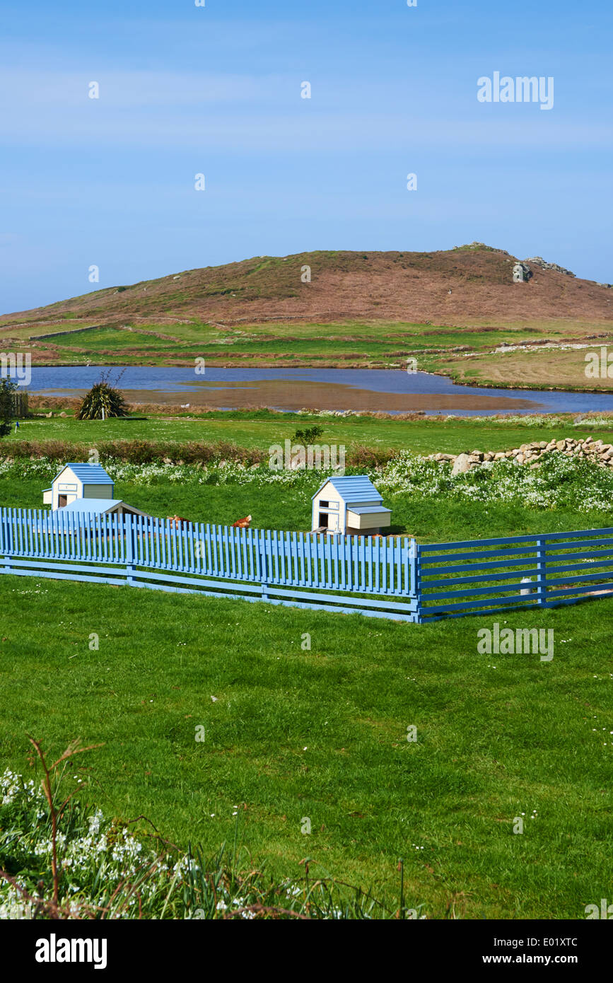 Hangars de poulet, poulaillers, pour les poules à Hell Bay, Bryher, Îles Scilly, Scillies, Cornwall en avril - Gweal colline au loin Banque D'Images