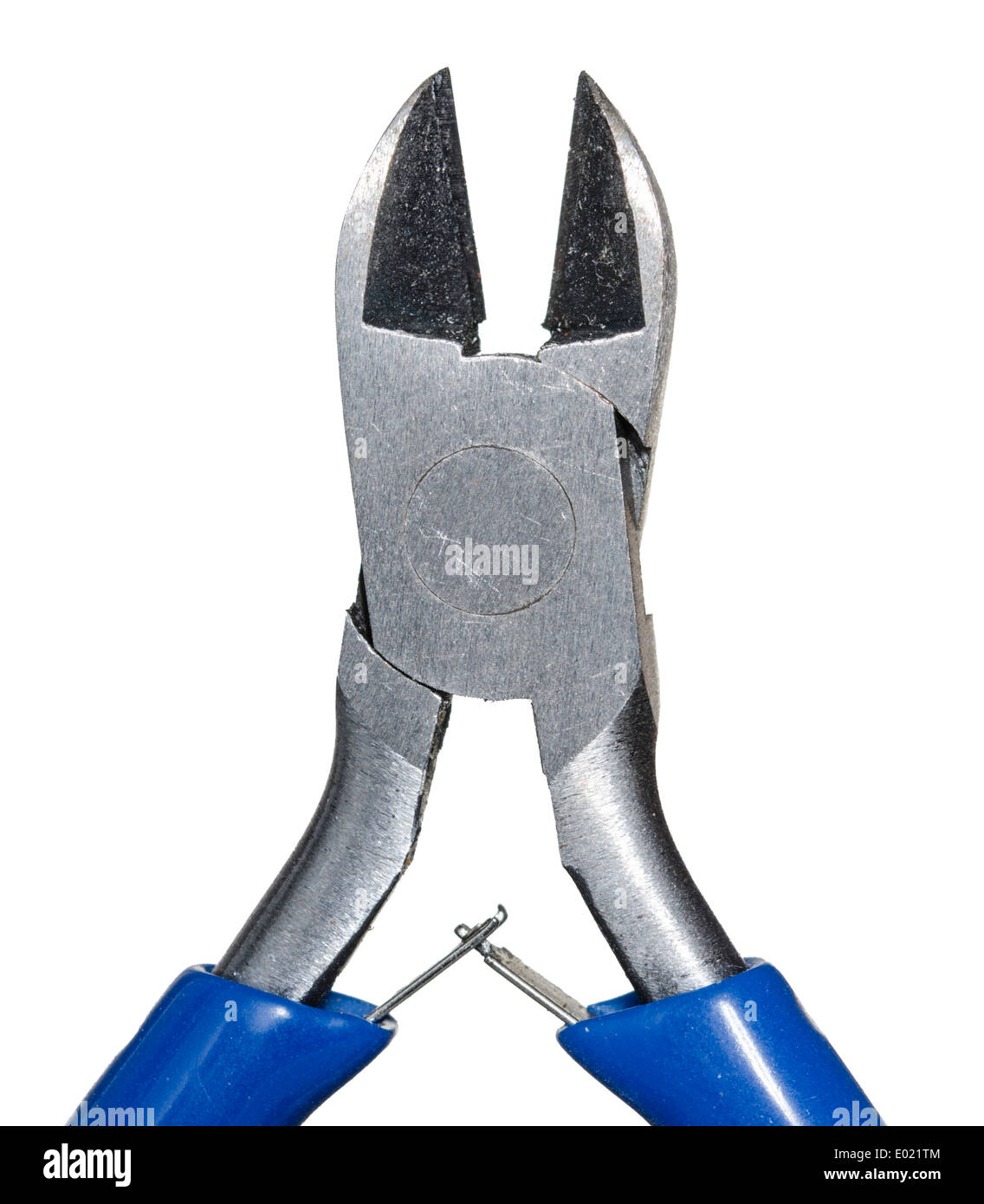 Libre d'une paire de cisailles électriques sur un fond blanc. Banque D'Images