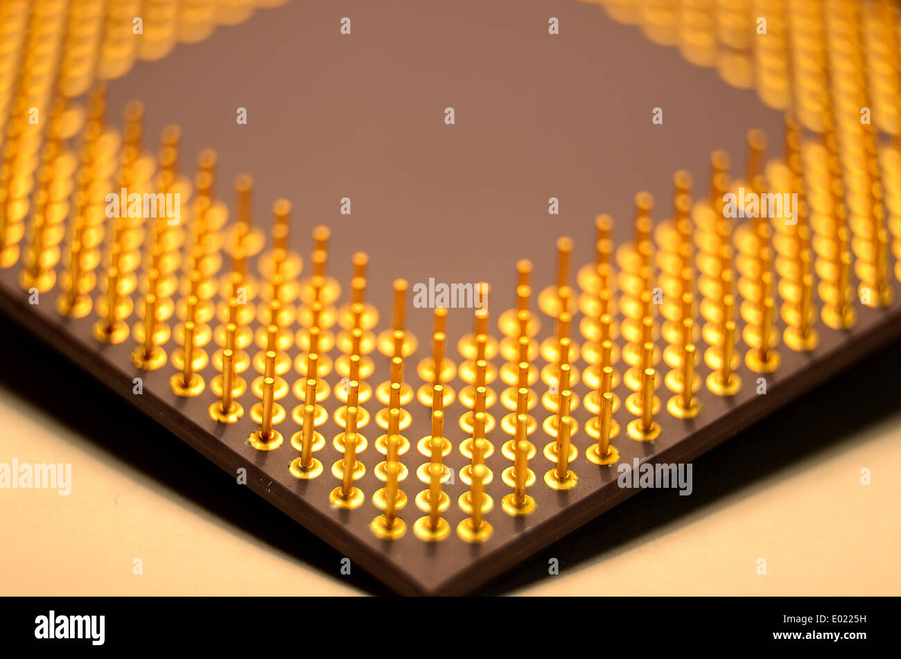 Processeur AMD vieux ou micro chip sur un ordinateur, l'affichage de la face inférieure de l'axe du circuit de connecteurs. Banque D'Images