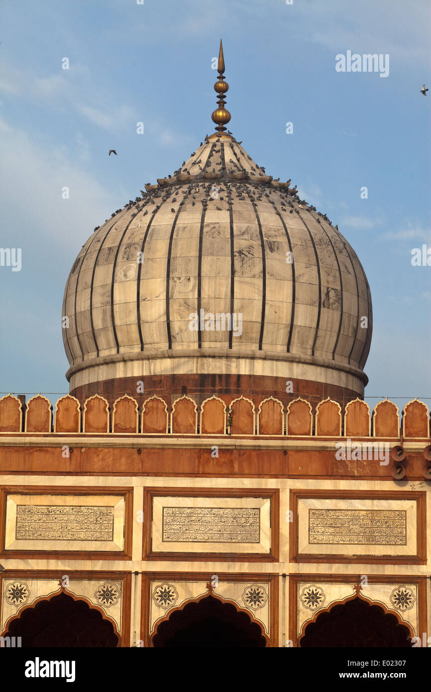 La Jama Masjid (la mosquée du vendredi), Old Delhi, Inde Banque D'Images