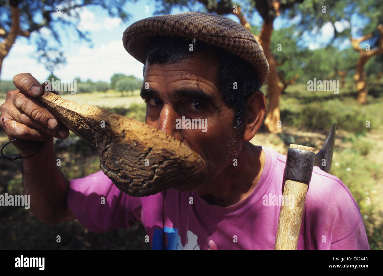 Portugal Alentejo, travailleur à la récolte du liège, tous les sept ans, l'écorce de chêne-liège est pelée, l'eau potable à partir du liège bol Banque D'Images