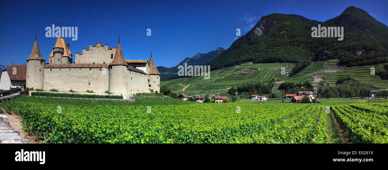 Photo du Chateau d'Aigle, Aigle château, entouré de vignobles, Aigle, Vaud, Suisse Banque D'Images