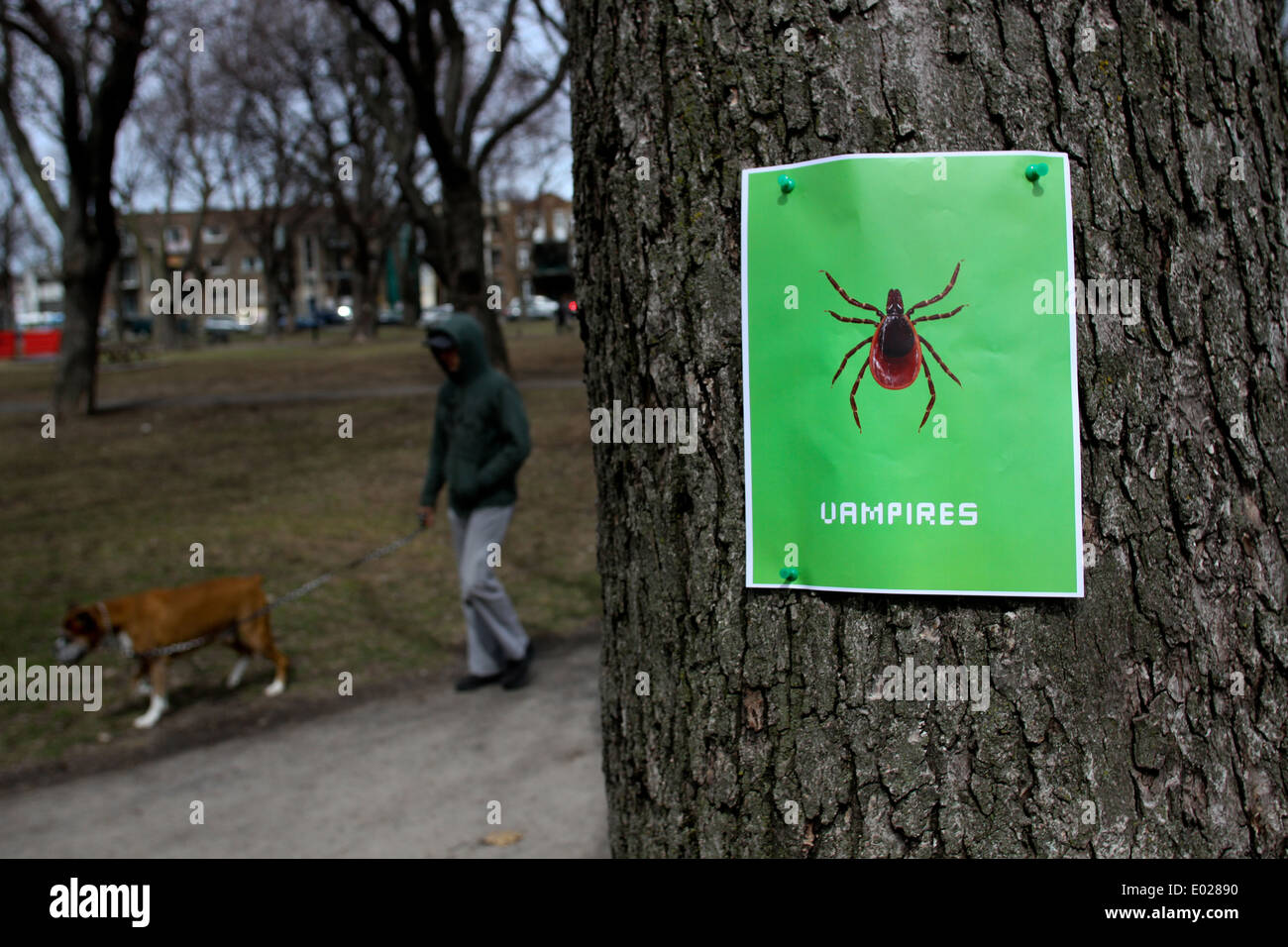 Un poster de sensibilisation à la maladie de Lyme dans le plateau de Montréal, Qc Banque D'Images