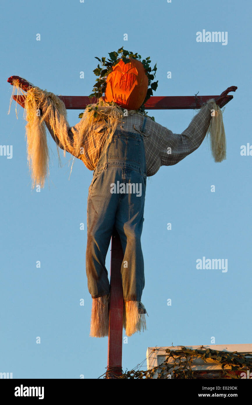 Pumpkin man sur une croix (décoration pour Halloween) Banque D'Images