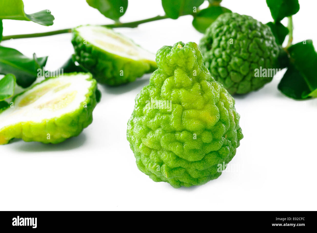 Avec les feuilles de lime kaffir Banque D'Images