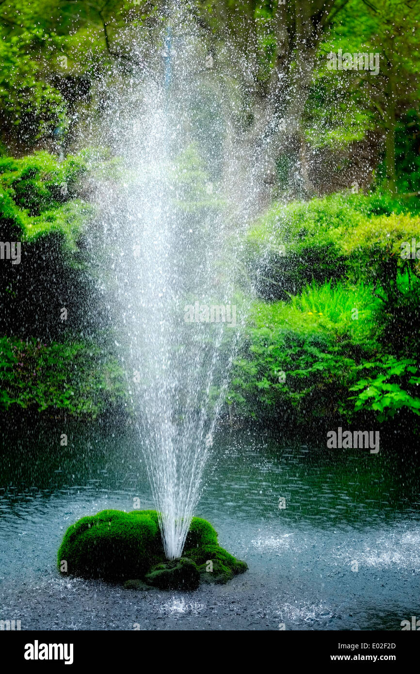 Fontaine avec un feuillage vert contexte Derwent gardens Derbyshire Matlock Bath England UK Banque D'Images