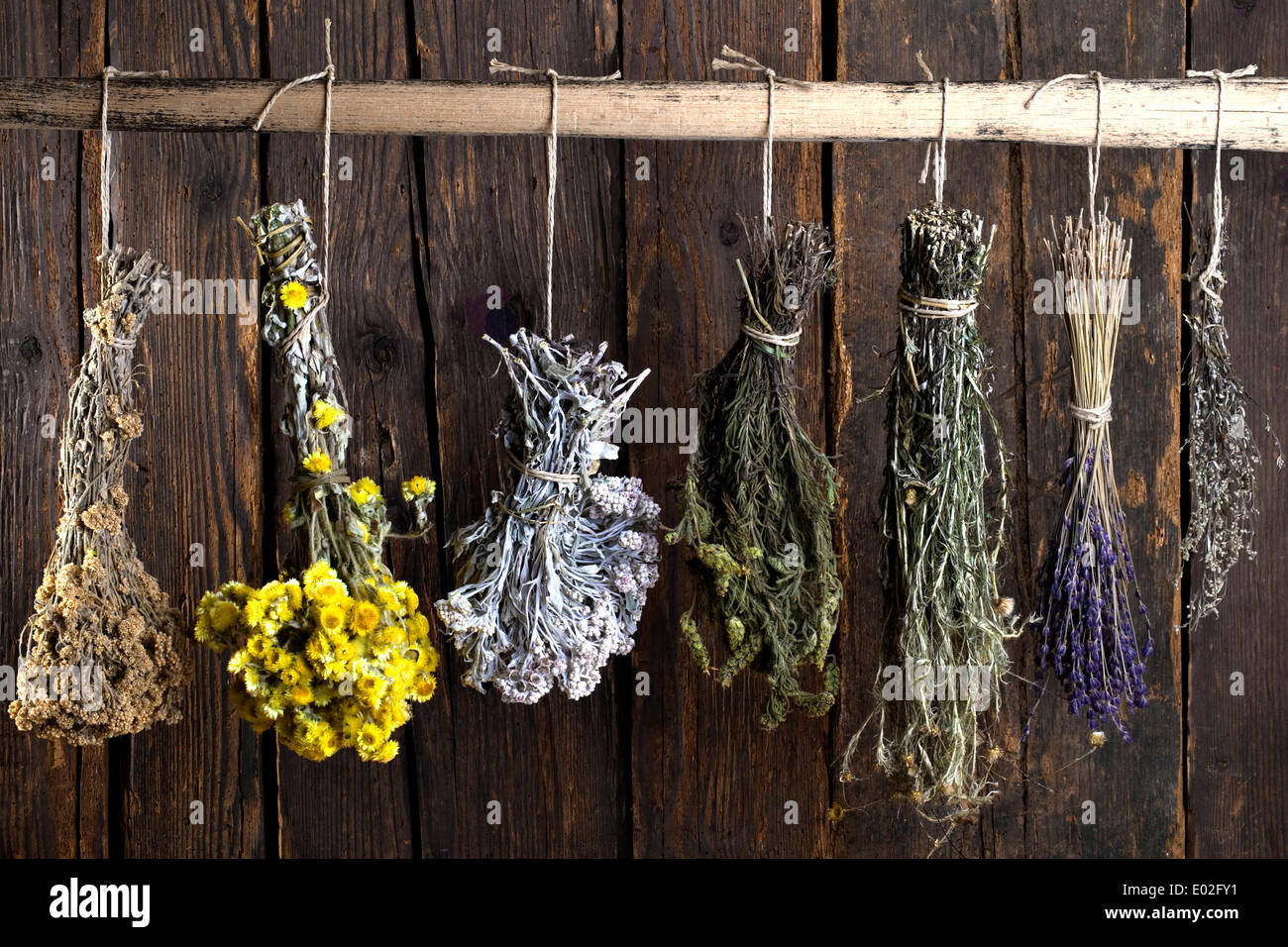 Différents bouquets de fines herbes, hung out to dry Banque D'Images