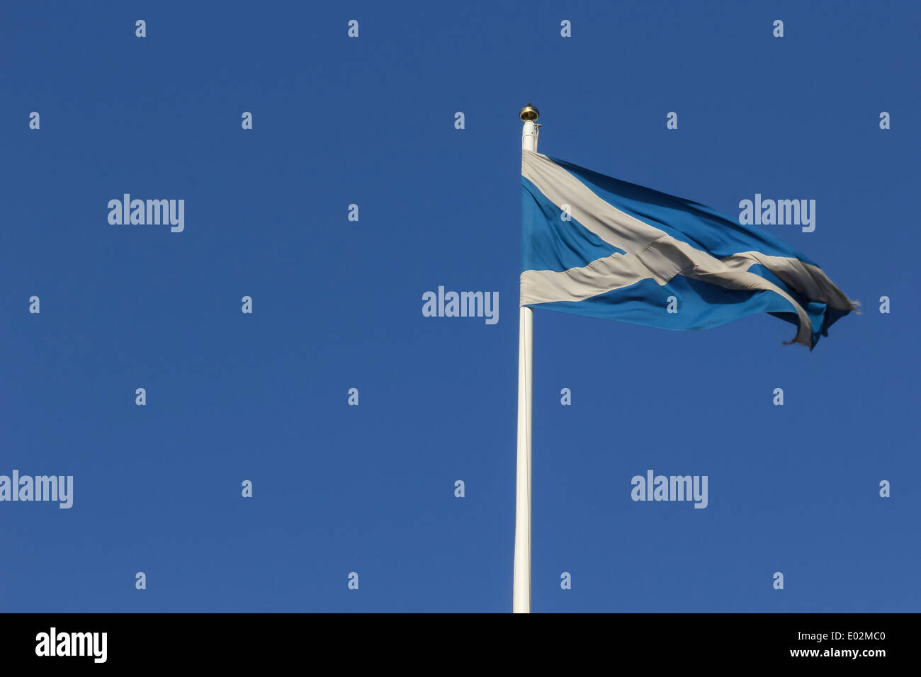 Un drapeau Croix St Andrews soufflant dans une forte brise contre un ciel bleu clair Banque D'Images