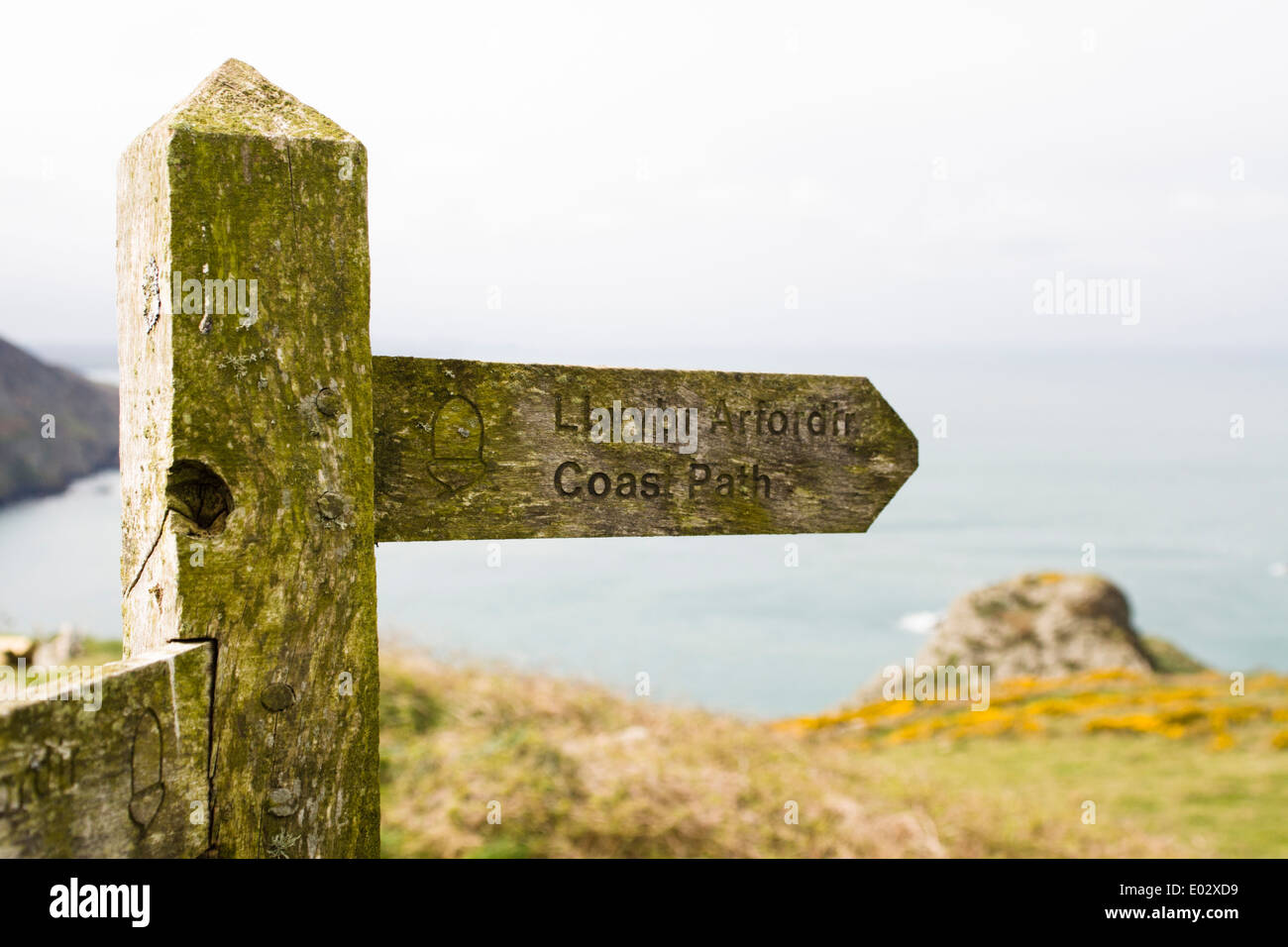 Gallois et Anglais Bilingue Coast Path sign, Pembrokeshire, Pays de Galles de l'Ouest Banque D'Images
