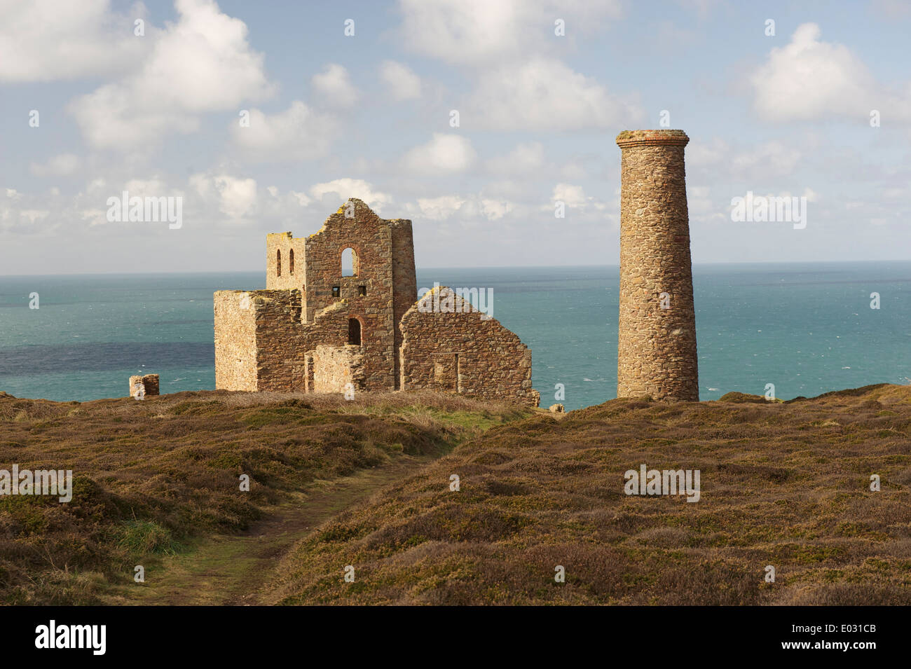 Papule COATES, NATIONAL TRUST, SITE DU PATRIMOINE MONDIAL 1802-1911 SUR DES FALAISES ENTRE ST AGNES ET CHAPEL PORTH Banque D'Images