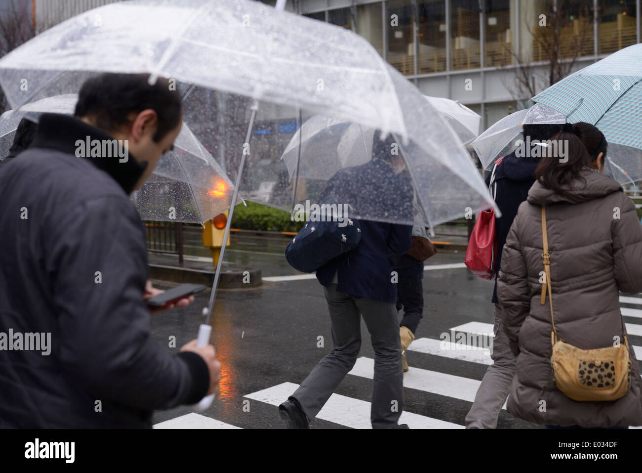 Les gens avec des parasols crossing street dans la pluie, Tokyo, Japon. Banque D'Images