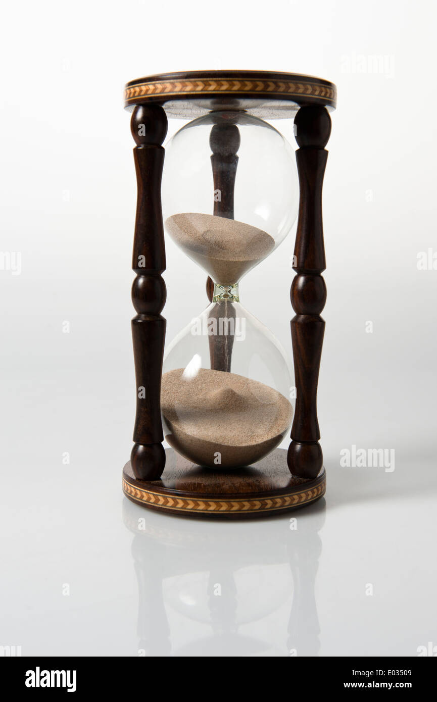 ½ heure de rose temps 22 cm de haut par Darrell Rushworth. Banque D'Images