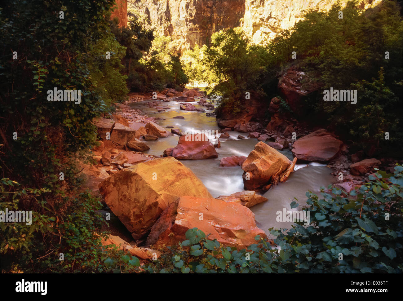 Les Narrows à Zion National Park dans le sud de l'Utah, USA. Banque D'Images