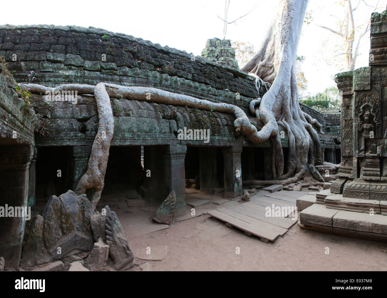 Ta Prohm Temple (Rajavihara), Angkor, Siem Reap, Cambodge Banque D'Images Ta Prohm Temple (Rajavihara), Angkor, Siem Reap, Cambodge Banque D'Images