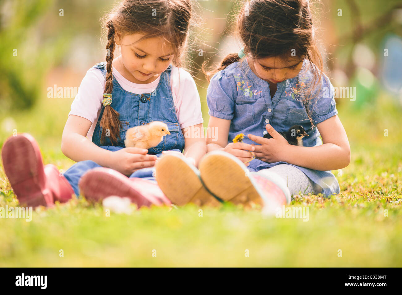 Deux petites filles avec des poules Banque D'Images