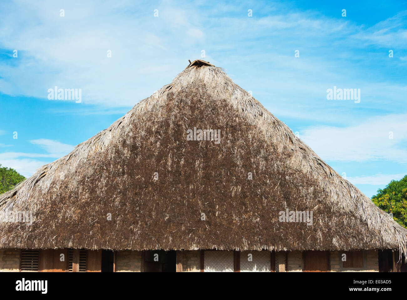 Maison locale avec toit de chaume, North Rupununi, la région sud du Guyana Banque D'Images