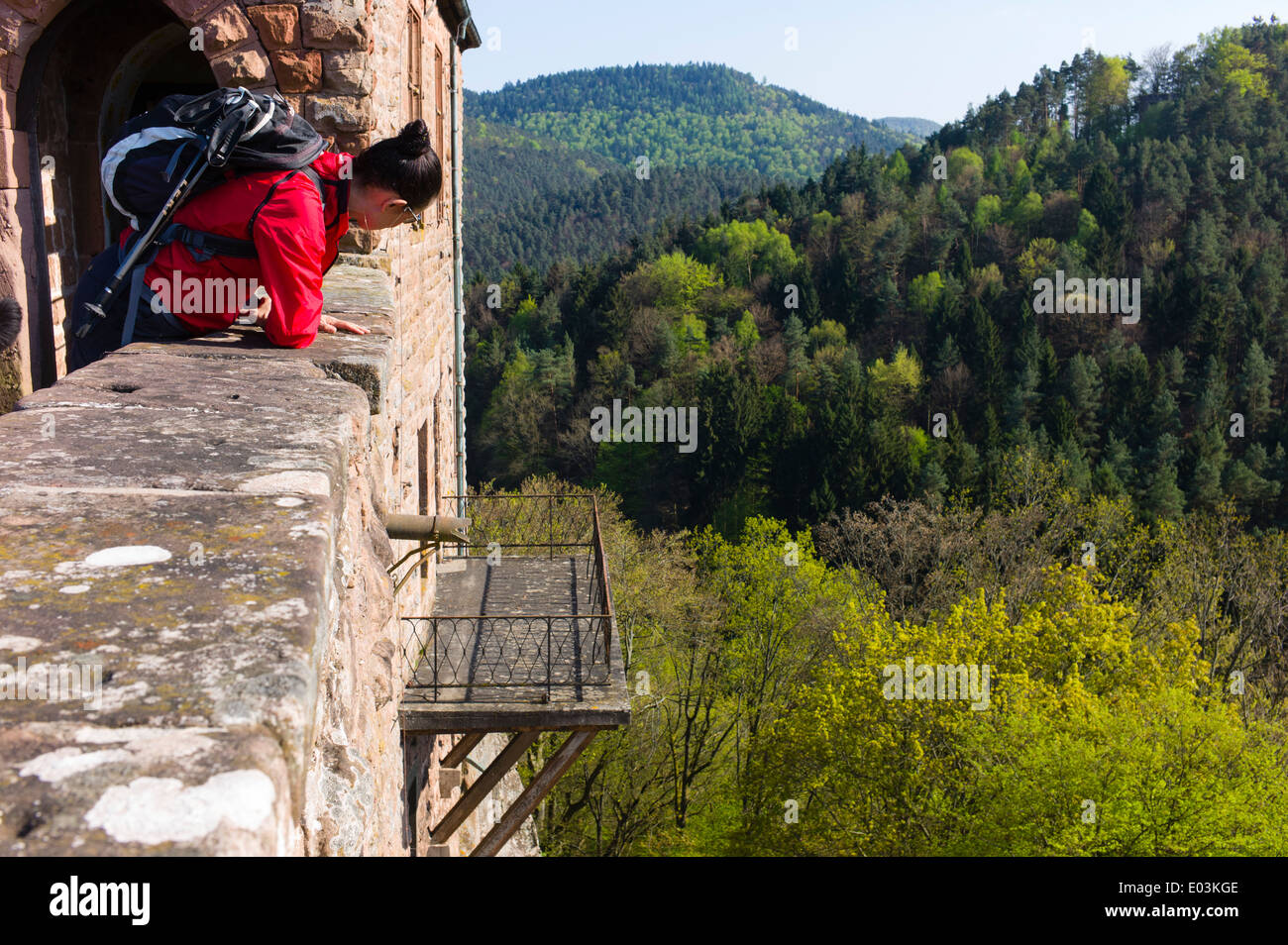 Vue du château de Berwartstein près de Erlenbach Forêt du Palatinat Allemagne Banque D'Images